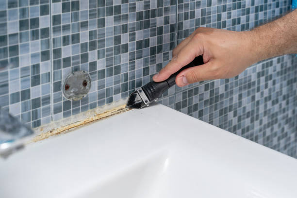 Best Toxic Mold Removal  in Beechwood, MI