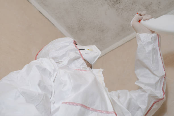 Best Residential Mold Removal  in Beechwood, MI